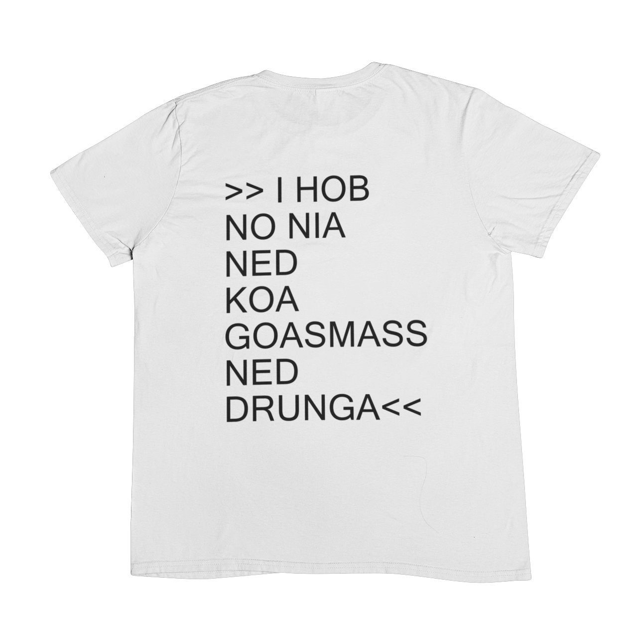 Goasmass ned drunga  Backprint | Unisex Shirt