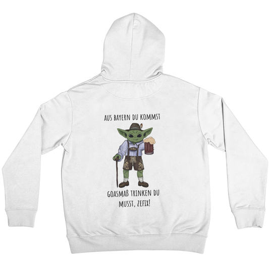 Aus Bayern du kommst Backprint |  Unisex Hoodie